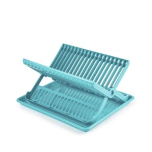 Dish drainer with tray